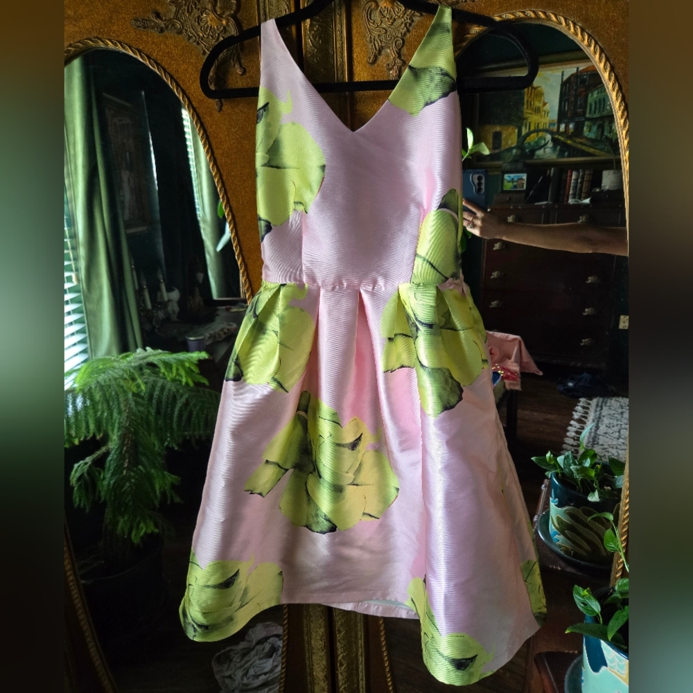 Floral Pink and Green Dress